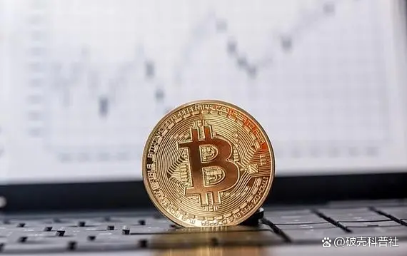 比特普及币挑战解决技术问题_比特币的普及与挑战：如何解决技术鸿沟问题_比特币的普及与挑战：如何解决技术鸿沟问题