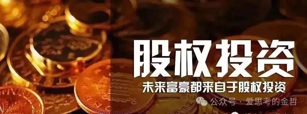特斯拉投资项目_特斯拉回报率_安全投资的回报：特斯拉的战略视角