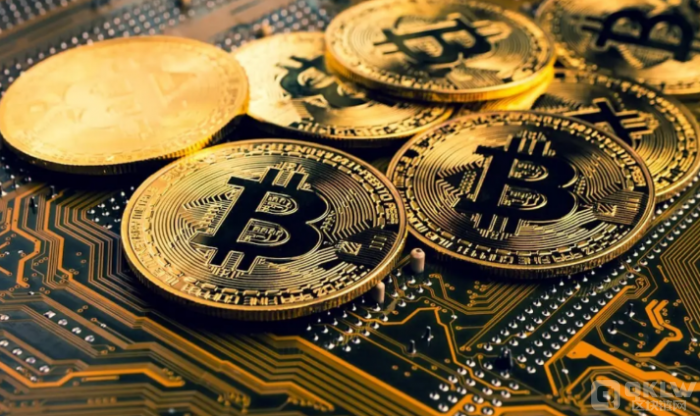 货币资金配置比例_如何根据资产配置选择数字货币_货币资产计算公式