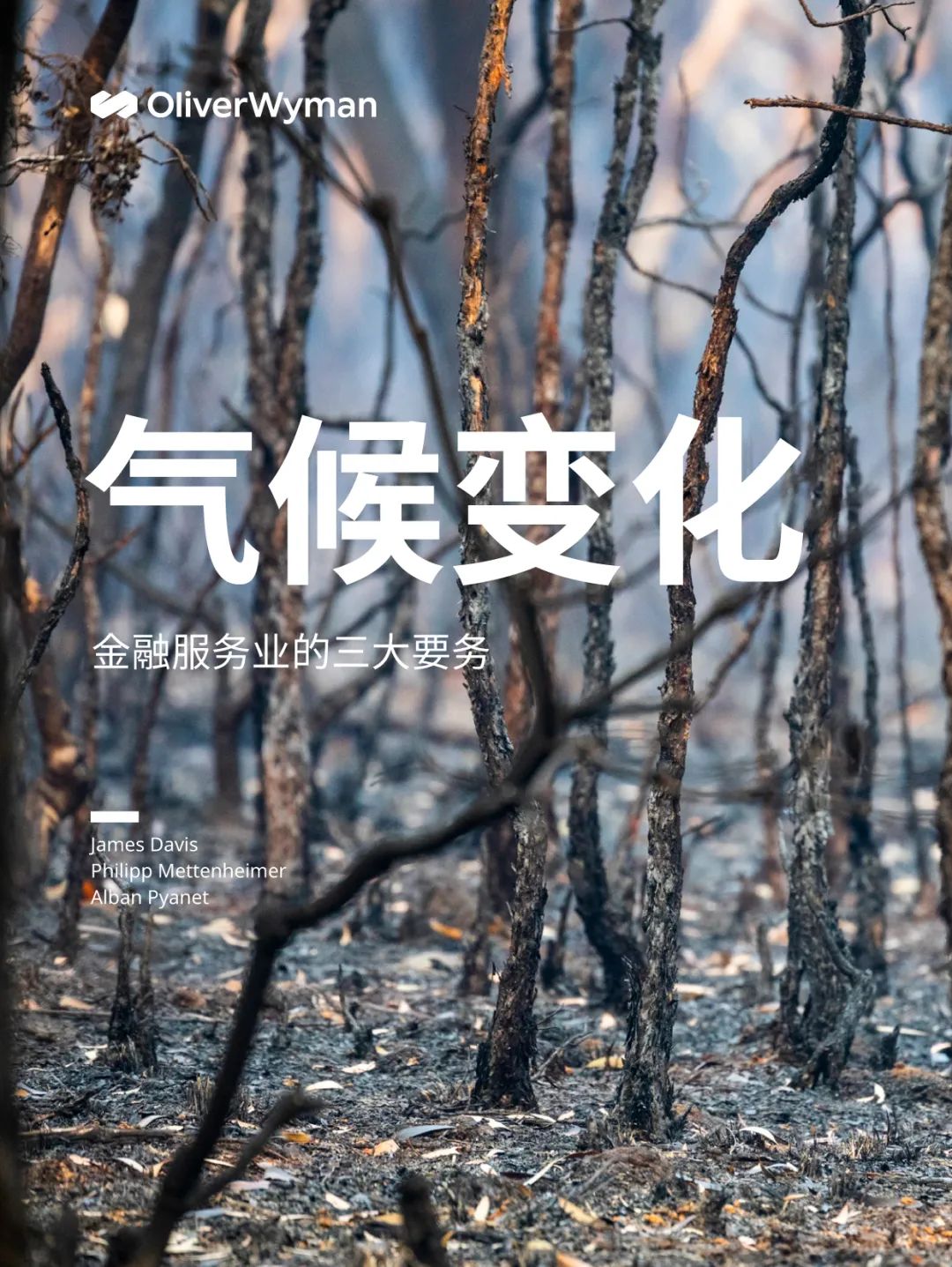 全球石油市场的复杂性，分析风险上升对政策制定的影响_石油行业政策风险_石油上升的原因