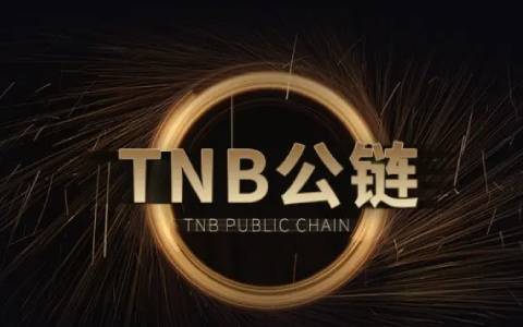 钱包货币啥意思_了解数字货币钱包的竞争格局 | 下载应用时的品牌筛选_钱包市场占比