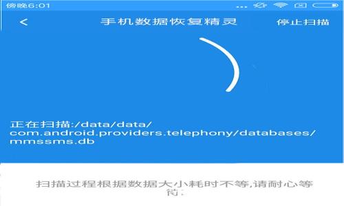 全面解析狗狗币与渡鸦币：数字货币的未来趋势