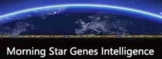 数字货币的创新_我国数字货币有哪些创新之处_理解数字货币在心理健康领域的创新：创新平台如何促进更好的支持系统