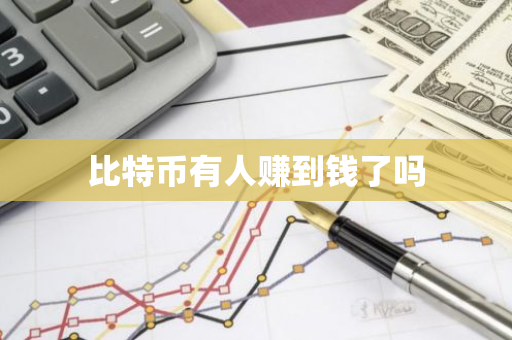 比特币的商业模式_比特币运营模式_比特币的商业模式：行业内成功公司的运作模式分析